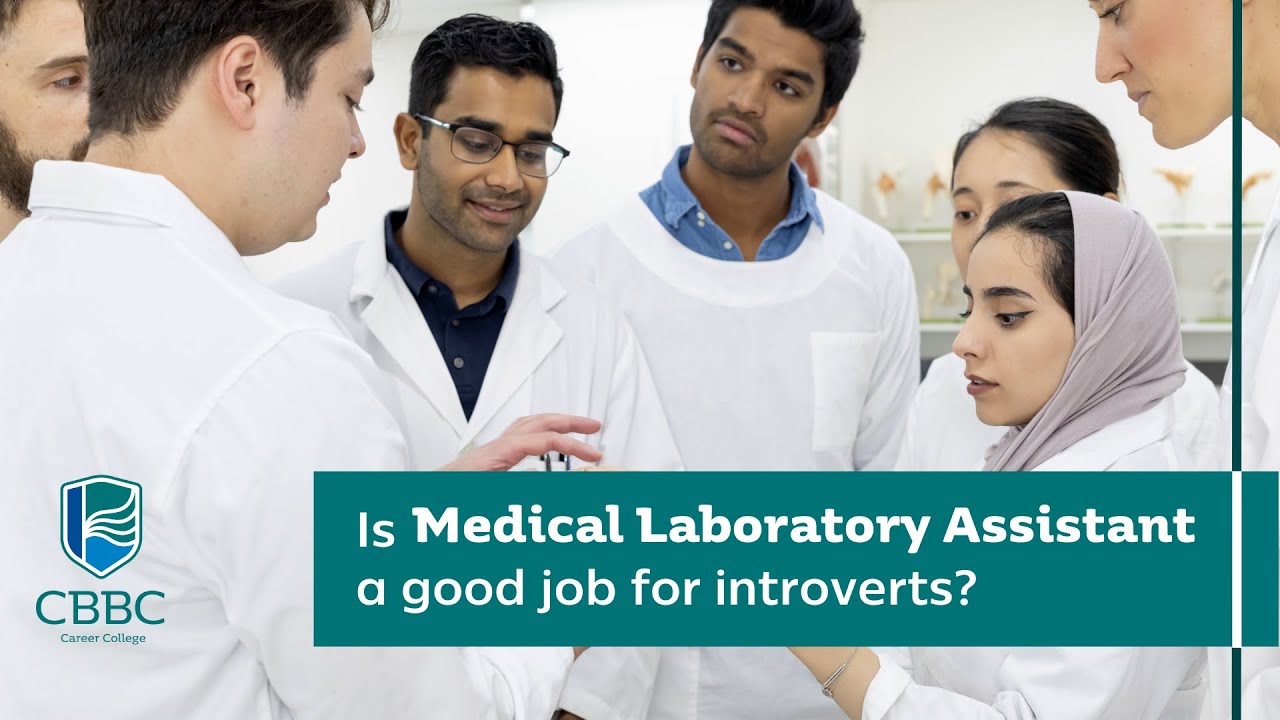 Is Medical Laboratory Assistant a good job for introverts?