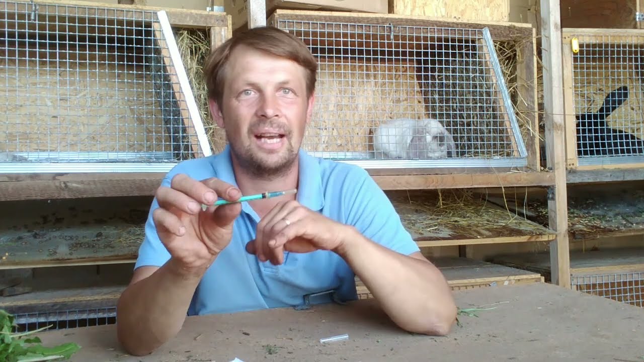 Шприц (соска) для кормления маленьких крольчат.