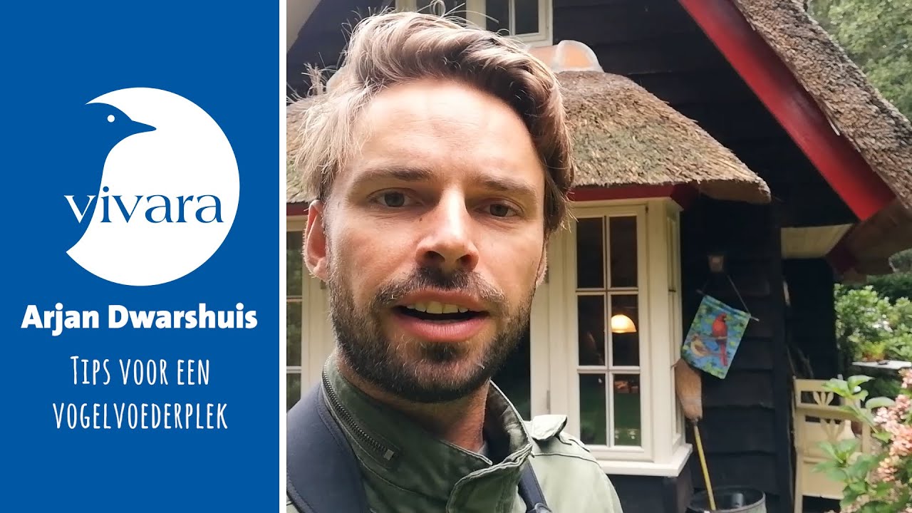 Tips voor het inrichten van een voederplek in de tuin