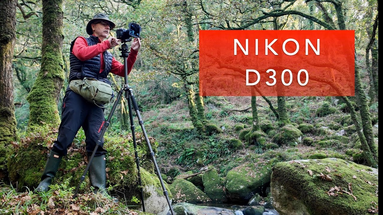 Мой последний ура с Nikon D300 в долине реки Вудленд