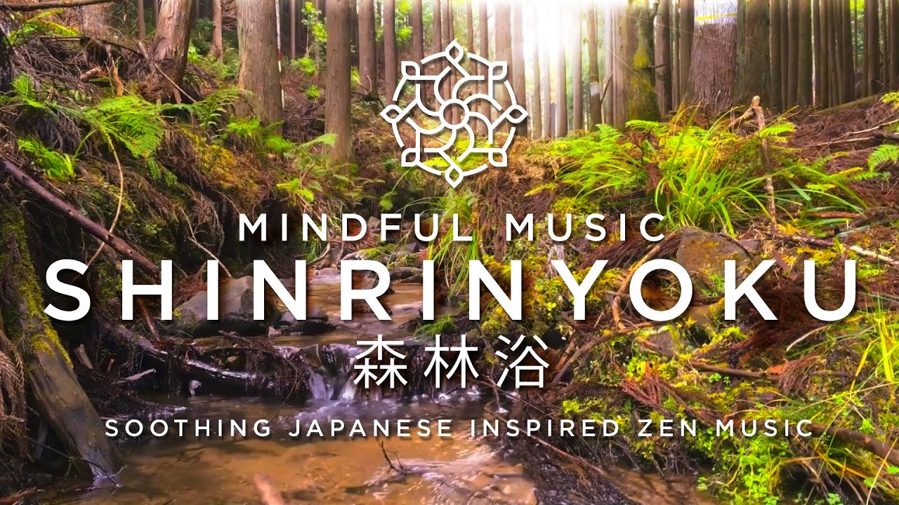 Mindful Music SHINRINYOKU (森林浴) - Japanese Inspired Meditation Music with Forest Sounds
