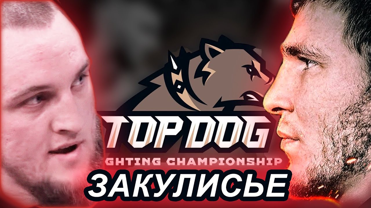 Топ дог закулисье | Мариф Пираев о конфилкте с Ковалевым | Встретил команду Berzloy