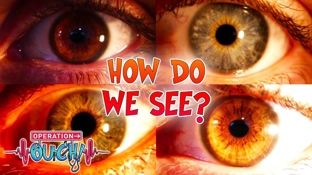 How Do We See? | Operation Ouch | Science for Kids