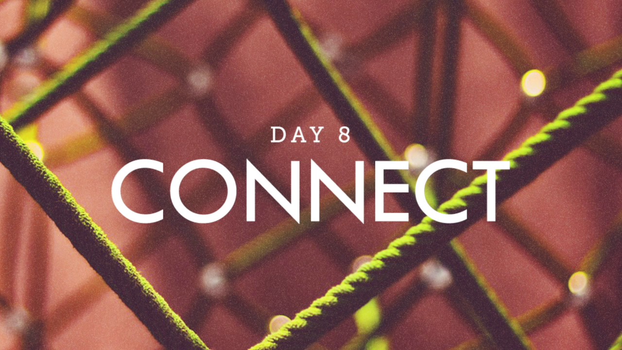 Alpha Lessons: Day 8 - Your Ideal Day