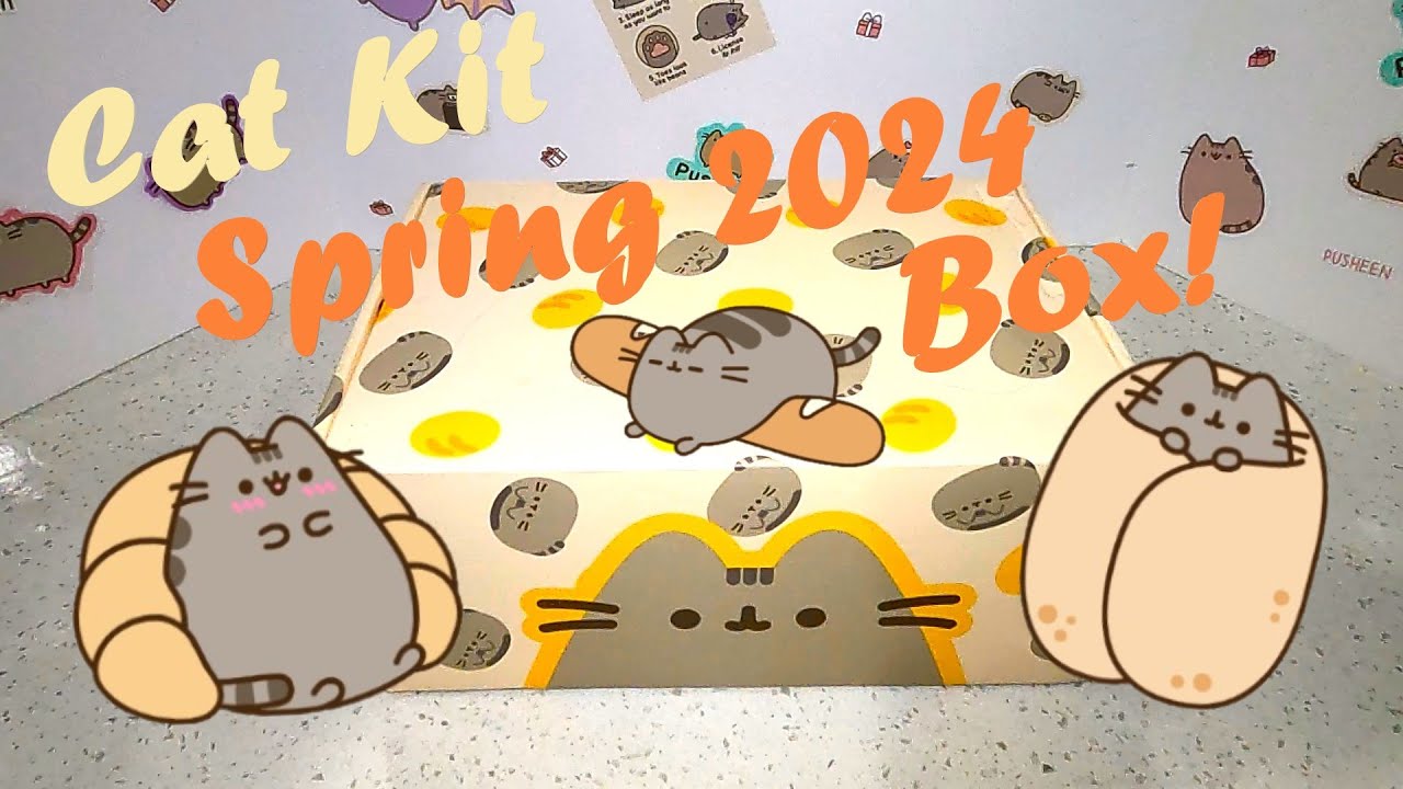 🥐 Pusheen Cat Kit 2024 Box!