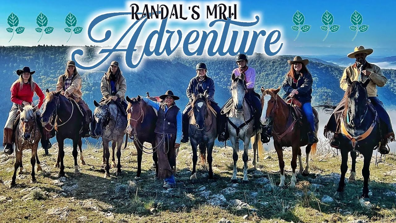 🦬 On retourne à RANDALS BISONS (et j'ai plus de voix)