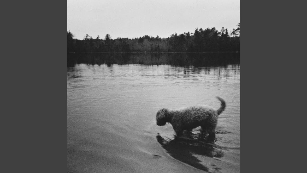 The Happy-Go-Lucky Ghost