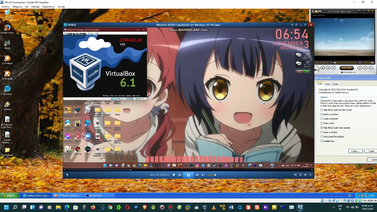 Windows XP BSOD Compilation VM #6