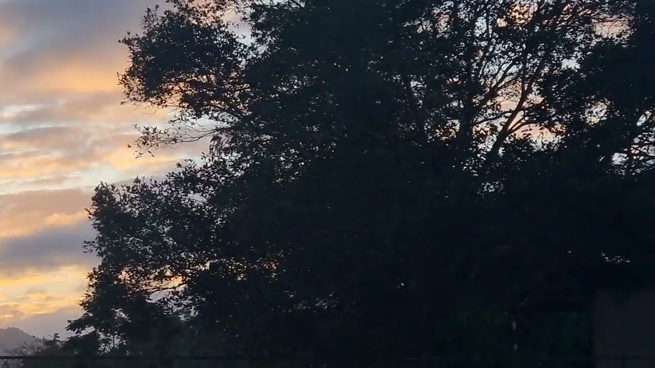 Good evening from ParonellaPark