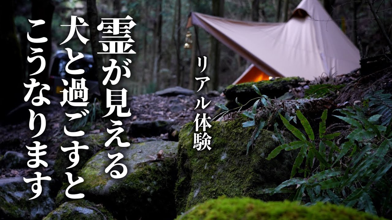【ソロキャンプ】霊が集まって来たから逃げました・川の流れる森の中で愛犬とソロキャンプ