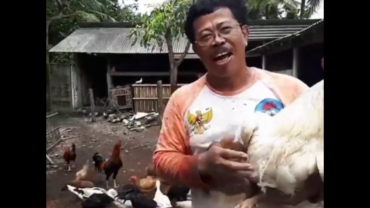 Kumpulan Wejangan Romo Budi PR