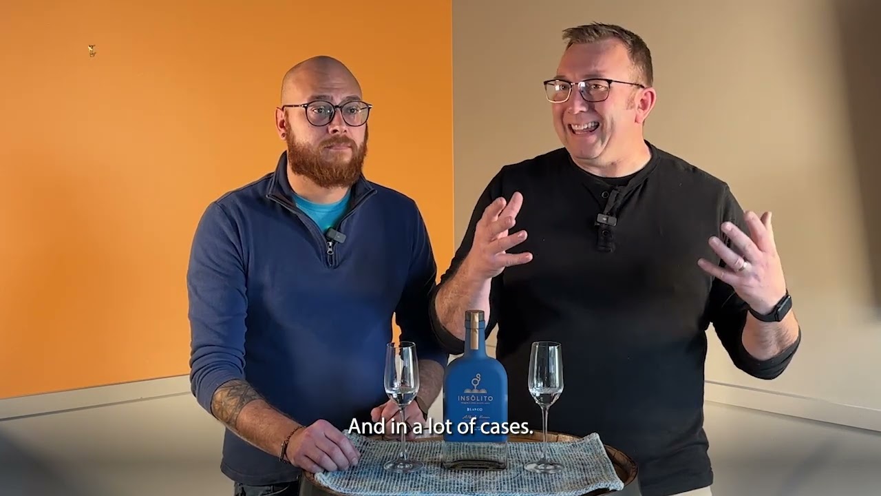 Insolito Blanco Review