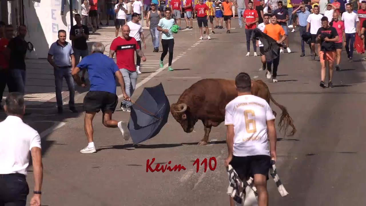 Nava del Rey 2023 Encierro urbano del jueves 7