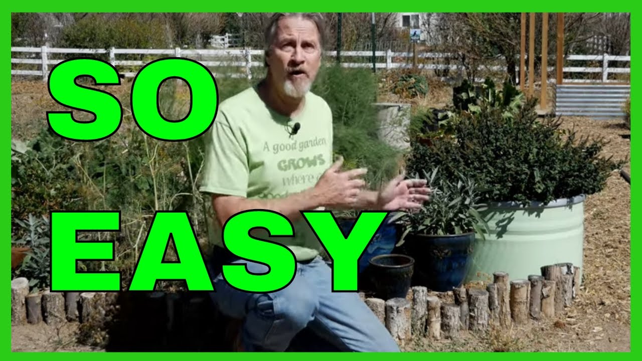 How to Dry Garden Herbs (No Electricity)