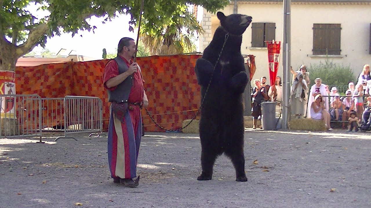L'ours Valentin à Volonne 2017