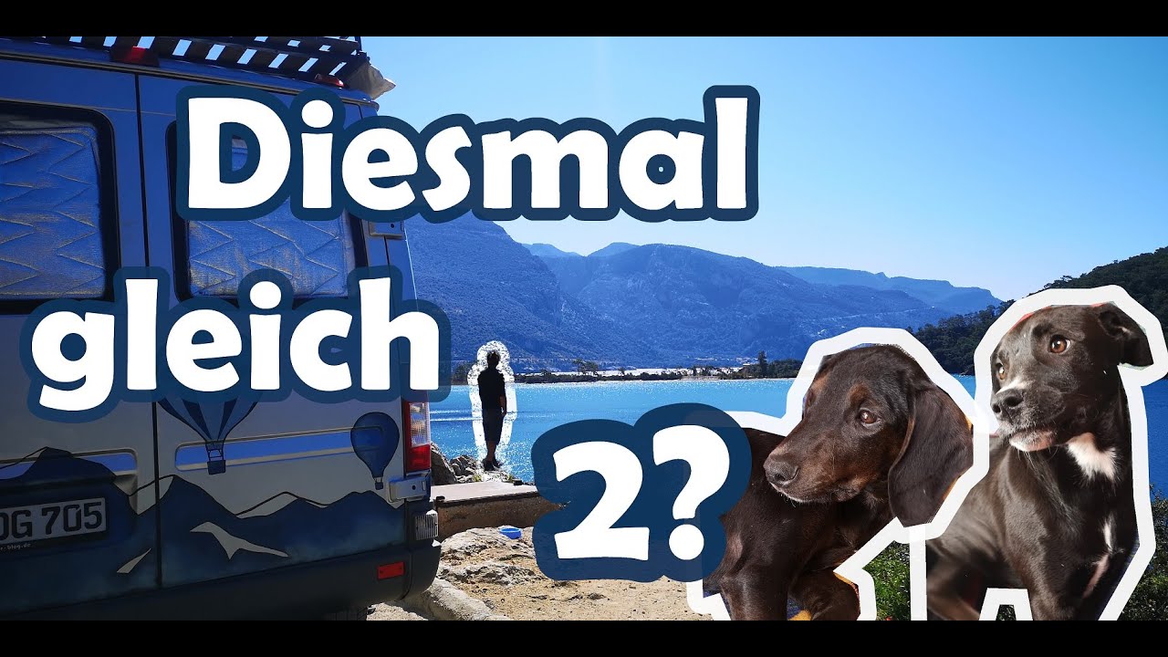 Welpen in der Türkei adoptiert - zu siebt im Sprinter - Troja, Pamukkale, Türkei Teil 1