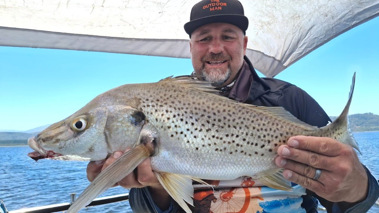 Pilchard vs Sand Prawn Grunter Fishing