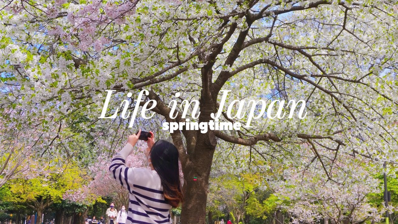 tokyo diaries | Hanami and walk around Inokashira park, Nakameguro and Jiyugaoka. 🌸