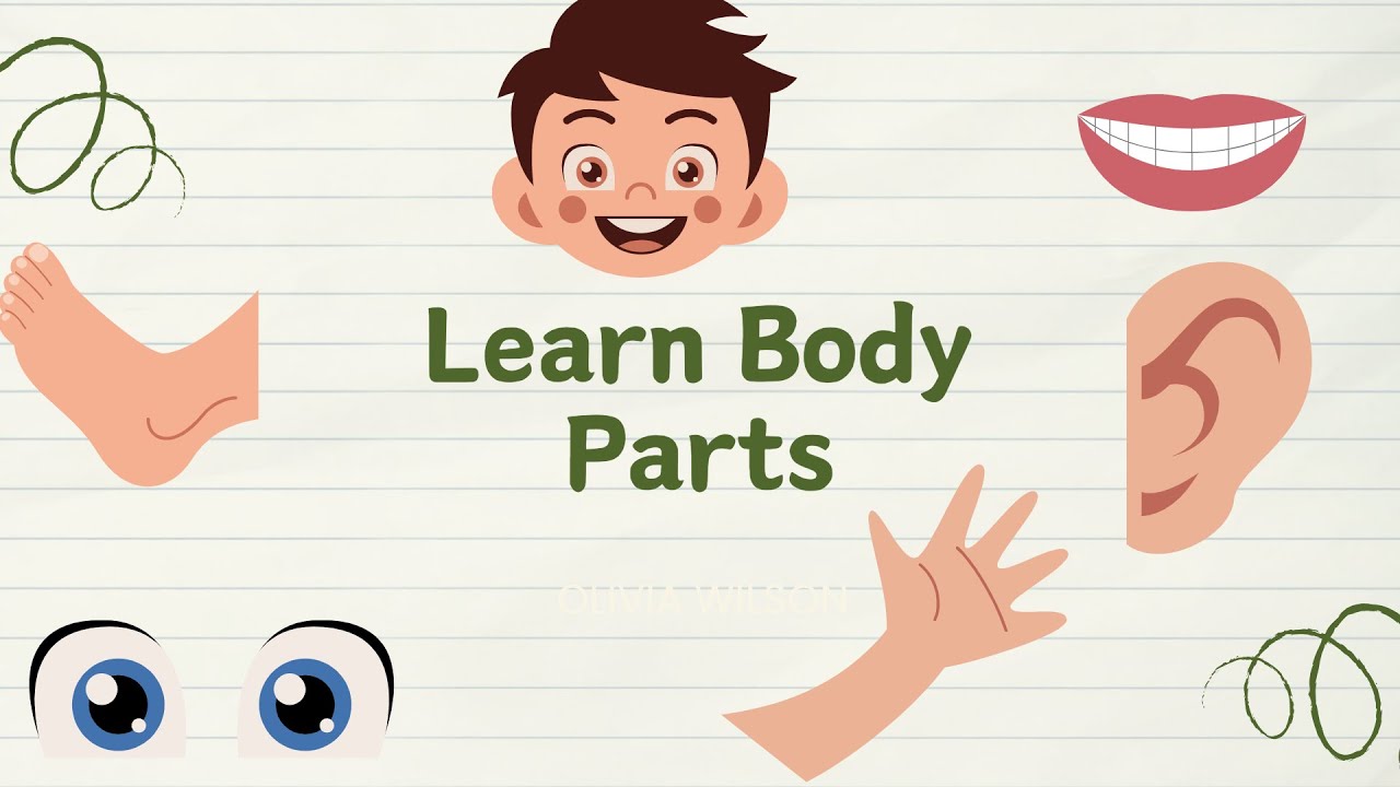 Learn Body Parts Name in English | Human Body Parts for Kids | Easy Learning Video