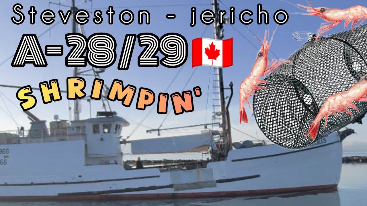 Креветки Стивстон и Джерико 🇨🇦