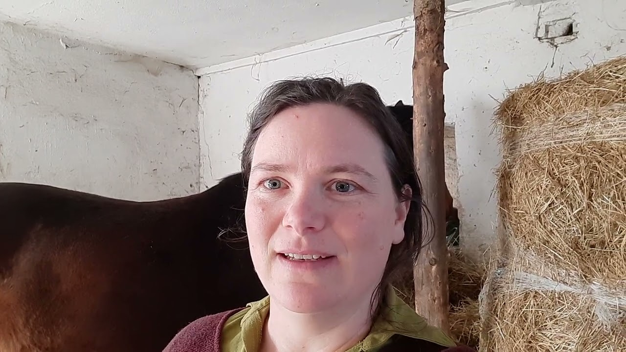 🌿✨ Die Stoffwechsel Str&ouml;m-Challenge startet! ✨🐴