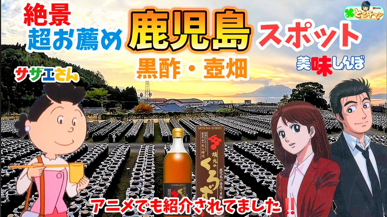 【鹿児島】絶景‼️「坂元のくろず」見学 🤩✨ 黒酢・壺畑 「美味しんぼ」「サザエさん」アニメでも紹介された店🔆