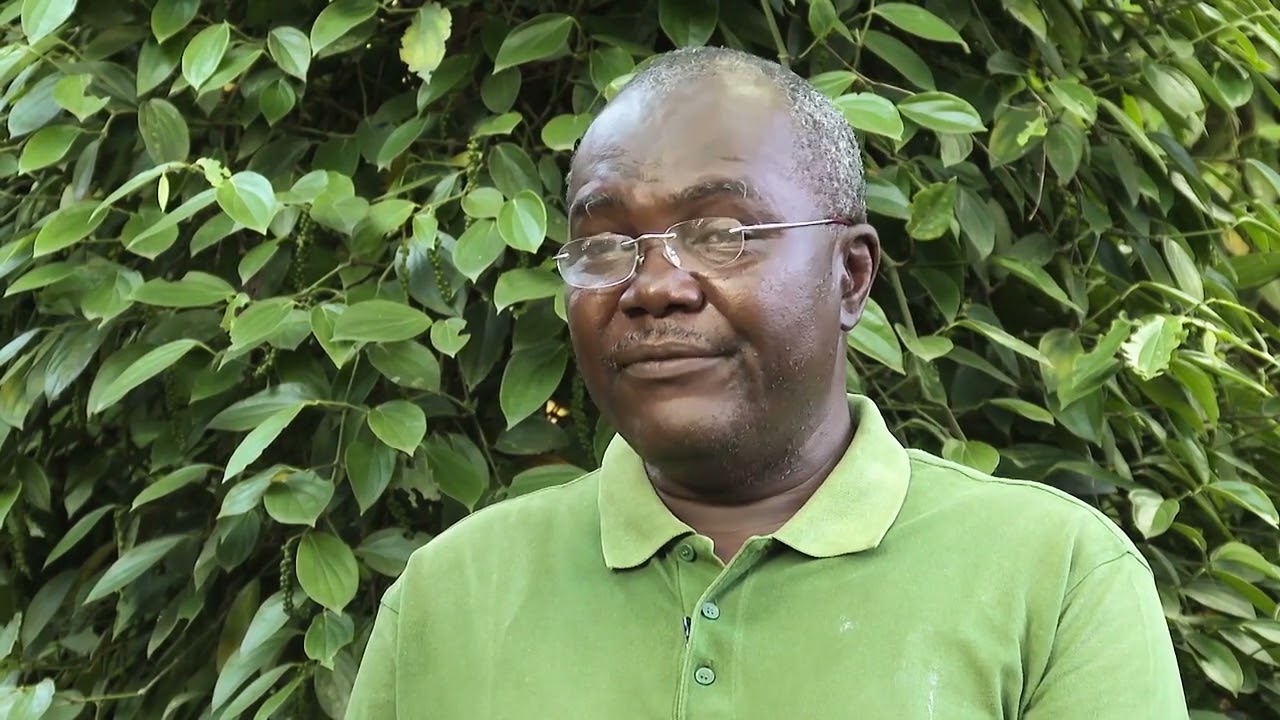 Région du Littoral du Cameroun : Plantations de Njombe Penja