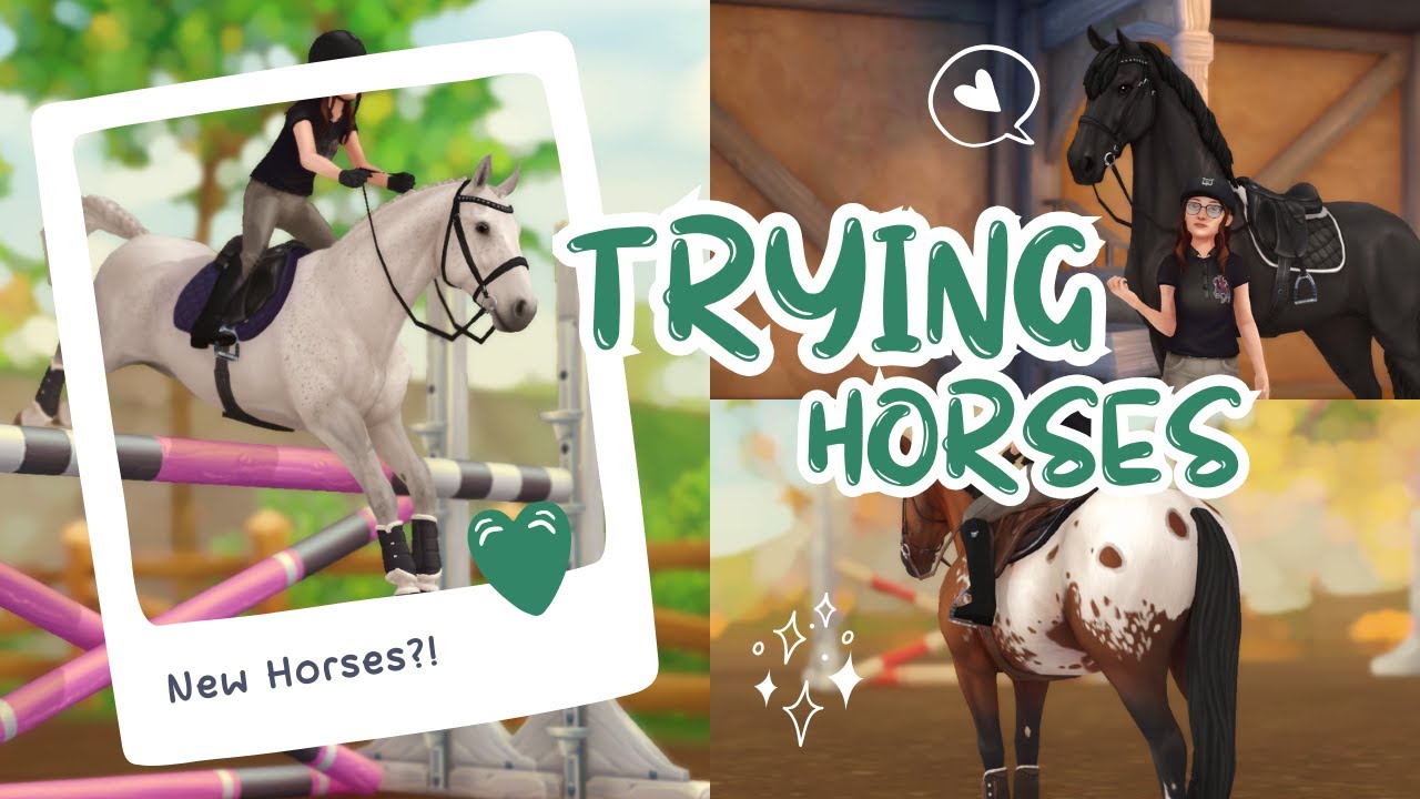 Trying Horses || Five Horses! Jumping, and more... || Bethany Mountainwood || SSO RRP