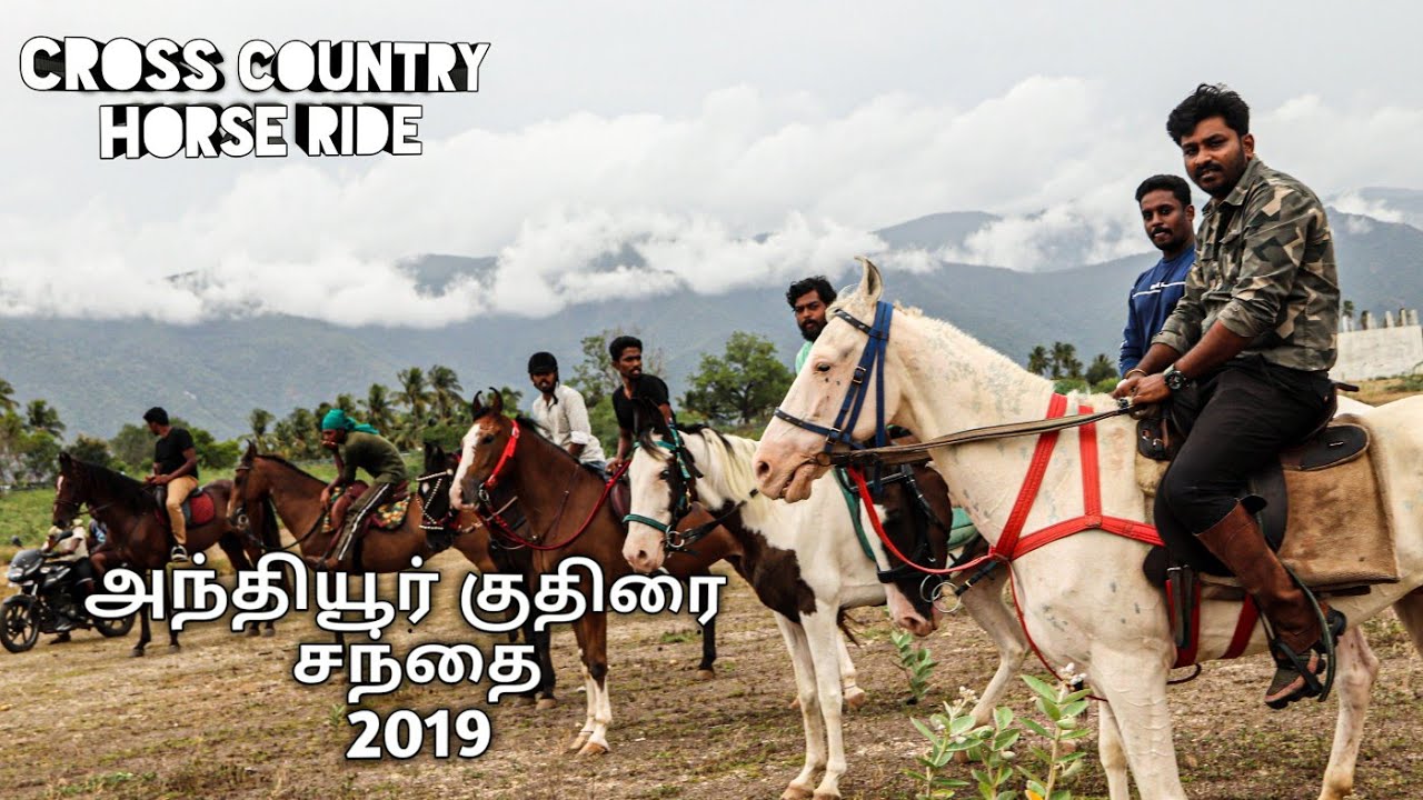 அந்தியூர் குதிரை சந்தை | 25+ horses 20kms Trail ride |1st Time in southindia #tamil #anthiyurfair