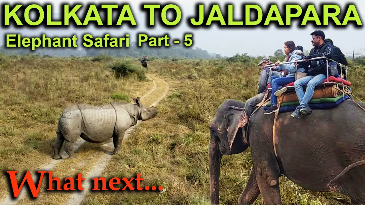 // Part-5 // Byke করে কলকাতা TO জলদাপাড়া // Elephant Safari // North-East //