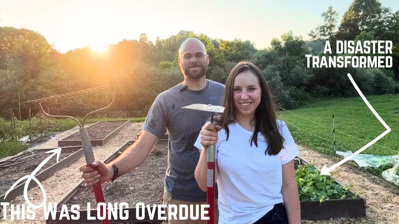 LANDSCAPING Our Raised Bed Area | Garden IMPROVEMENT Part 1