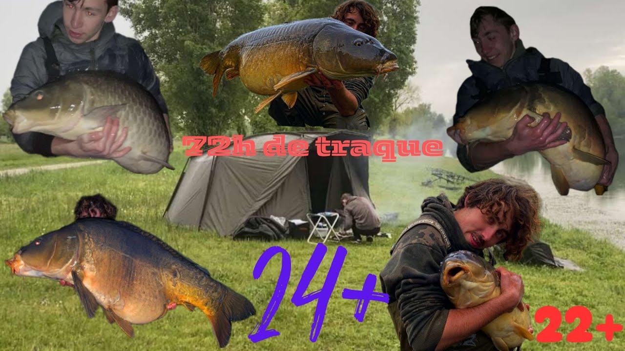 La traque aux poissons de rivière ! - Pêche de la carpe