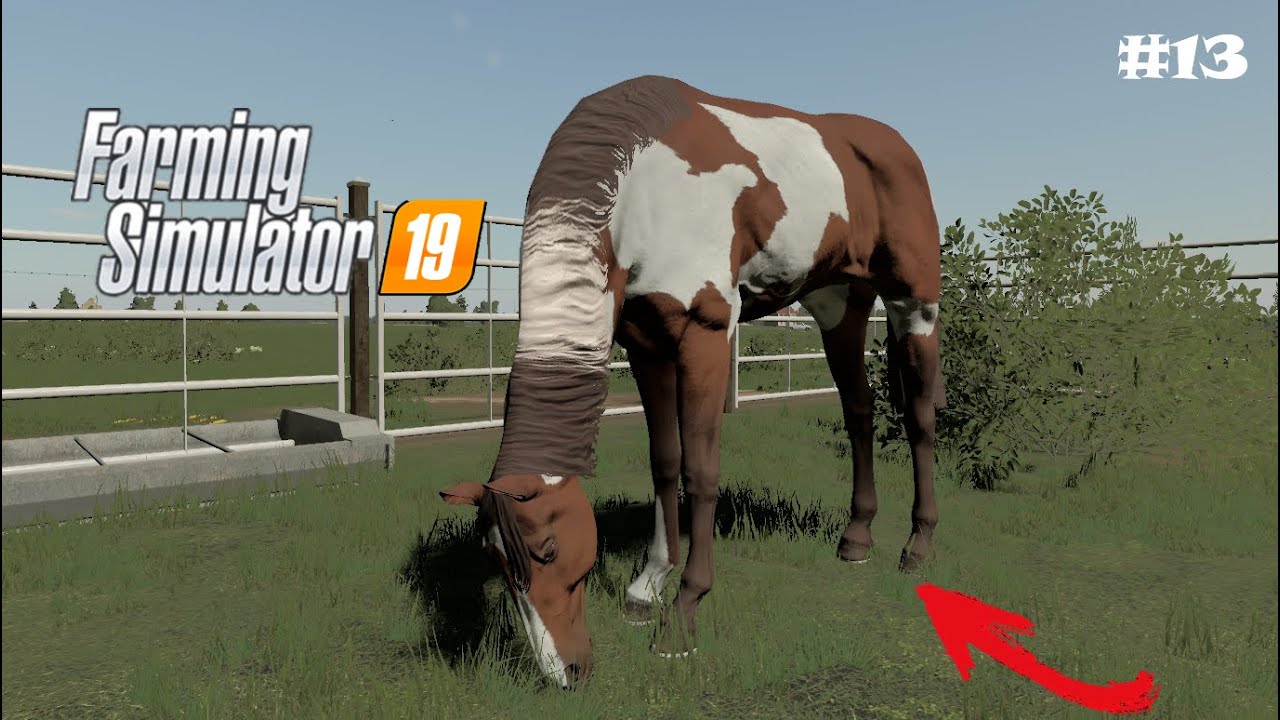 making constructions - Zdziechow ( FS19 ) Timelapse #13  #oamisca  #farmingsimulator19  #ls19  #fs19