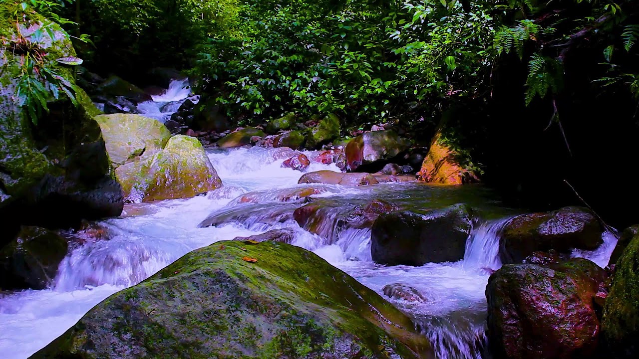 River Sounds for Mental Calm | Deep Sleep Relaxation Experience