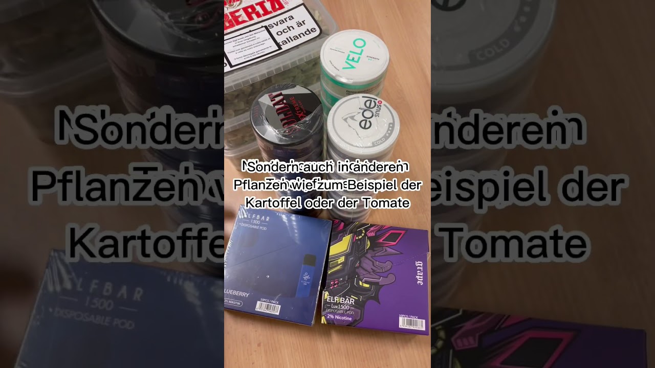 Nicht nur die Tabakpflanze hat Nikotin!