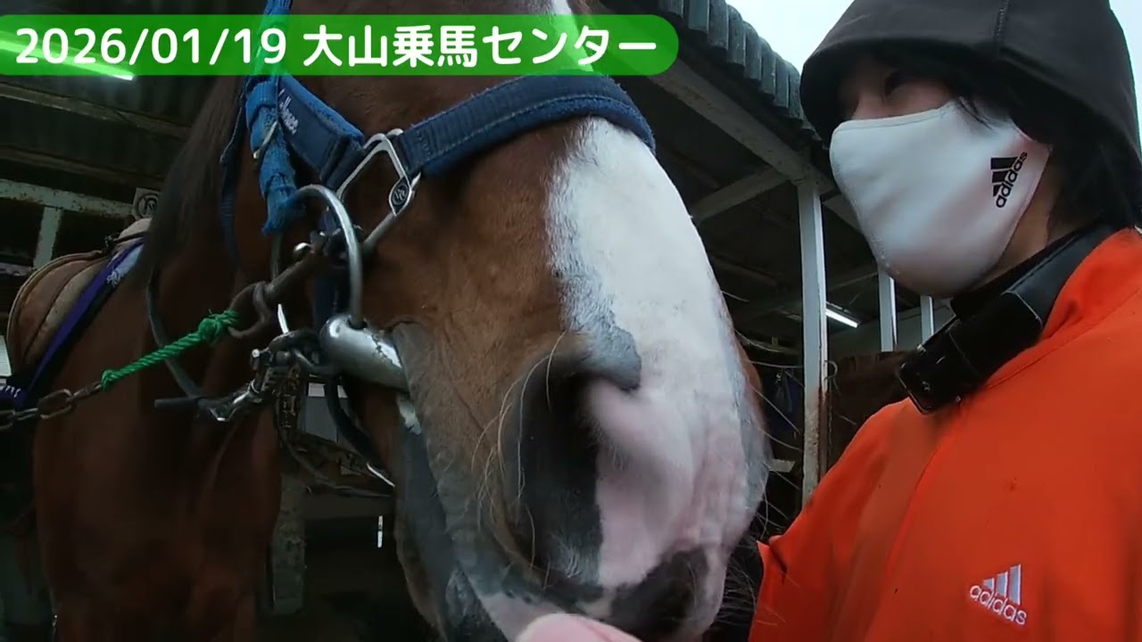 2026/01/19 大山乗馬センター(鳥取県)