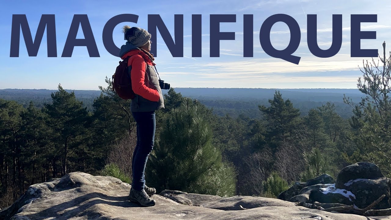 Cette forêt est DINGUE - Rando-découverte #32 (IdF)