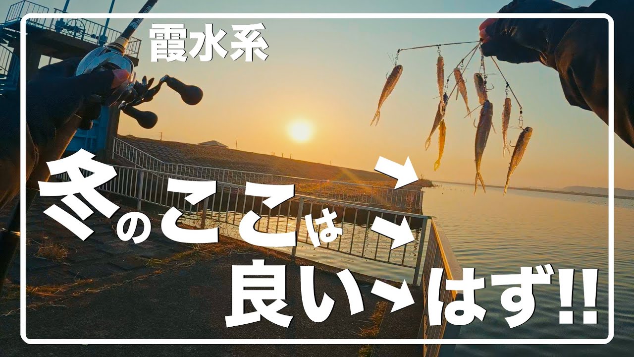 冬の有名や結果出てるポイントは良いはず！！【霞水系】