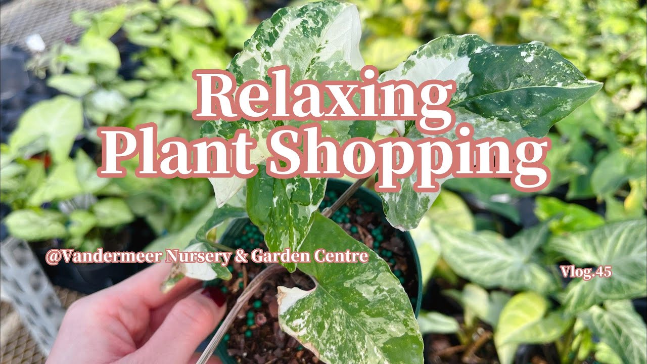 终于可以好好逛逛苗圃啦Vlog.45 Plant Shopping @Vandermeer Nursery & Garden Centre