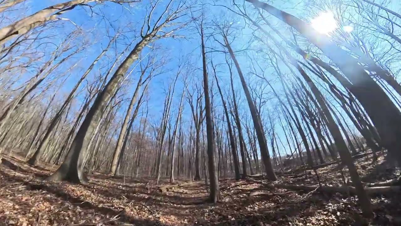 3 Mile Hike through Hix Park in Westland, MI