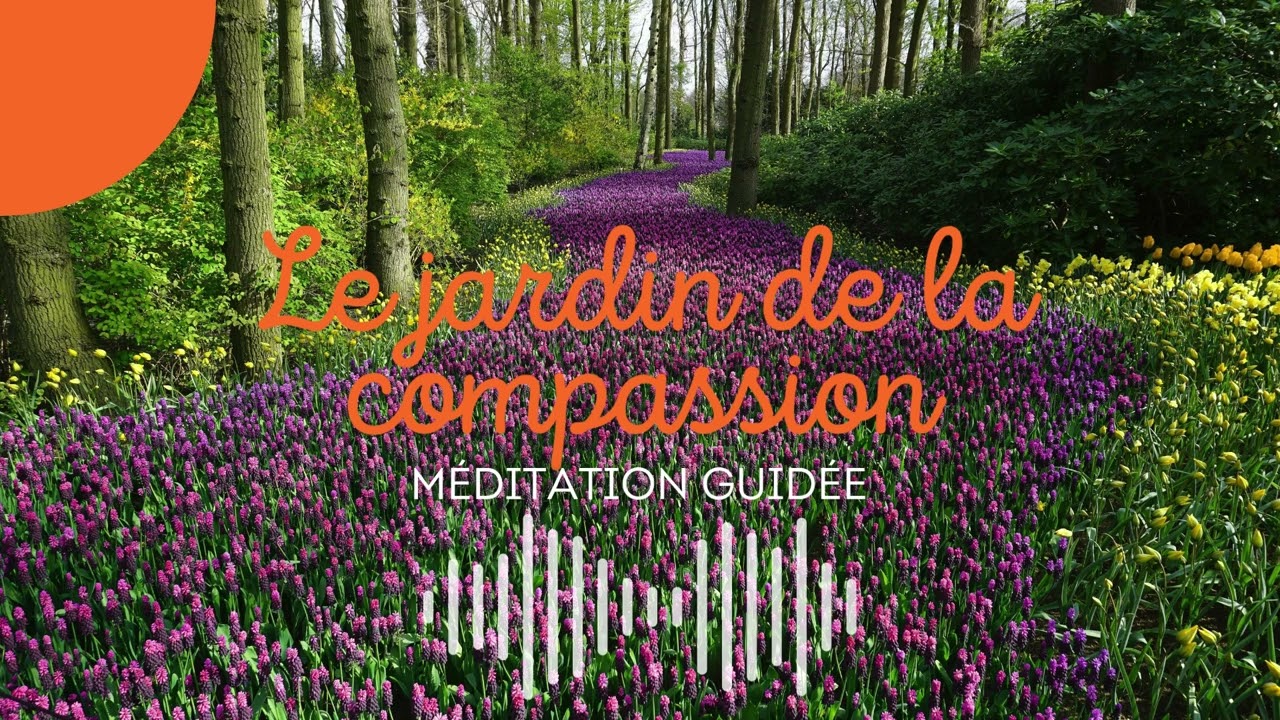 Méditation guidée – Le Jardin de la Compassion | 18 min pour ouvrir ton cœur