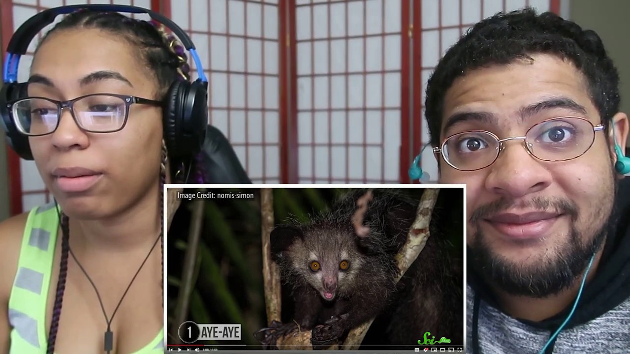 8 Creepy Animals That Are Harmless!