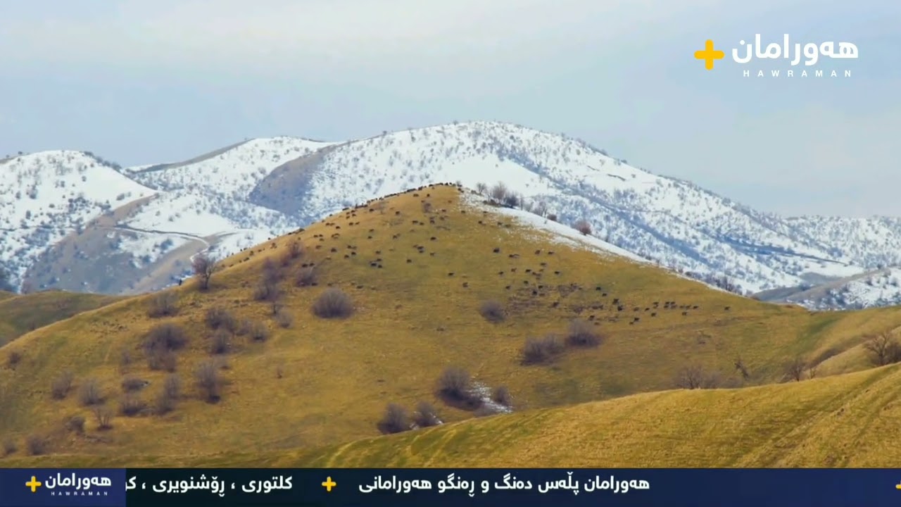 سروشتی هەورامان ... بەهرۆز بەڵخەیی