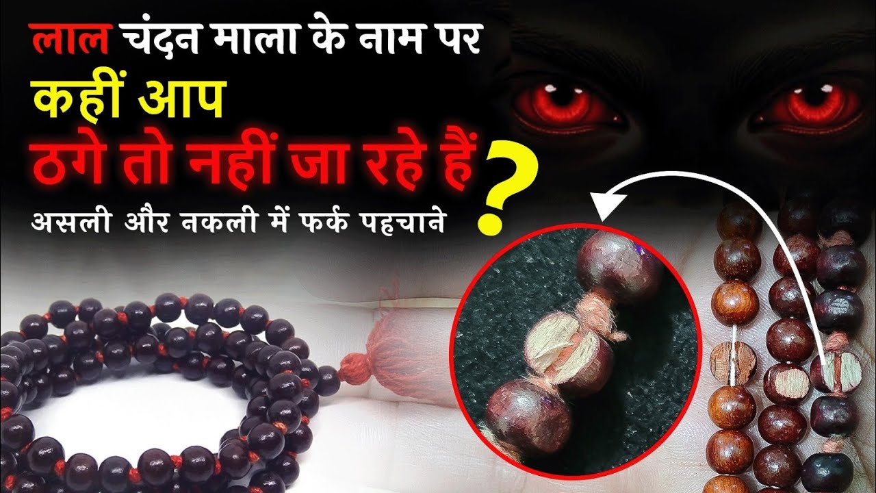 लाल चंदन माला के नाम पर ठगे जा रहे हैं? असली और नकली में फर्क कैसे करें! 🔍
