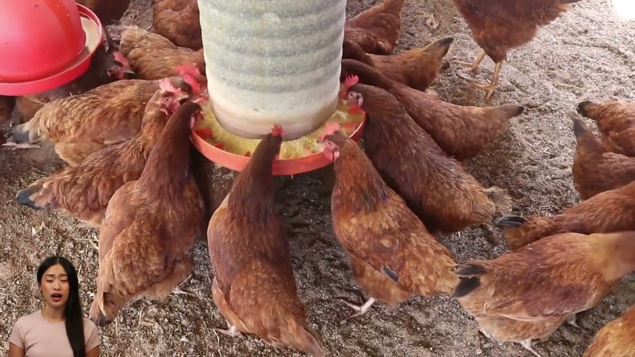 Sustainable Food Production: The Future of Farming and Food Security! (4 Minutes)