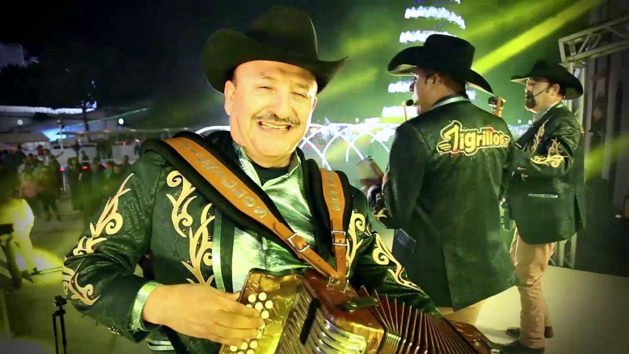 tigrillos ven ven video oficial