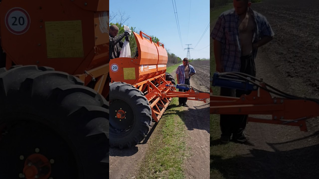 Посев суданской травы 11.05.20