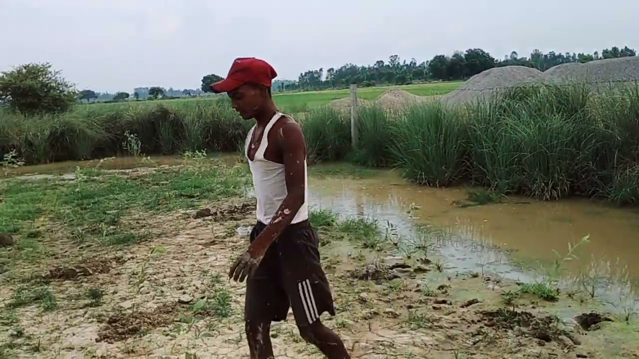 Plantation at national academy proposed side.