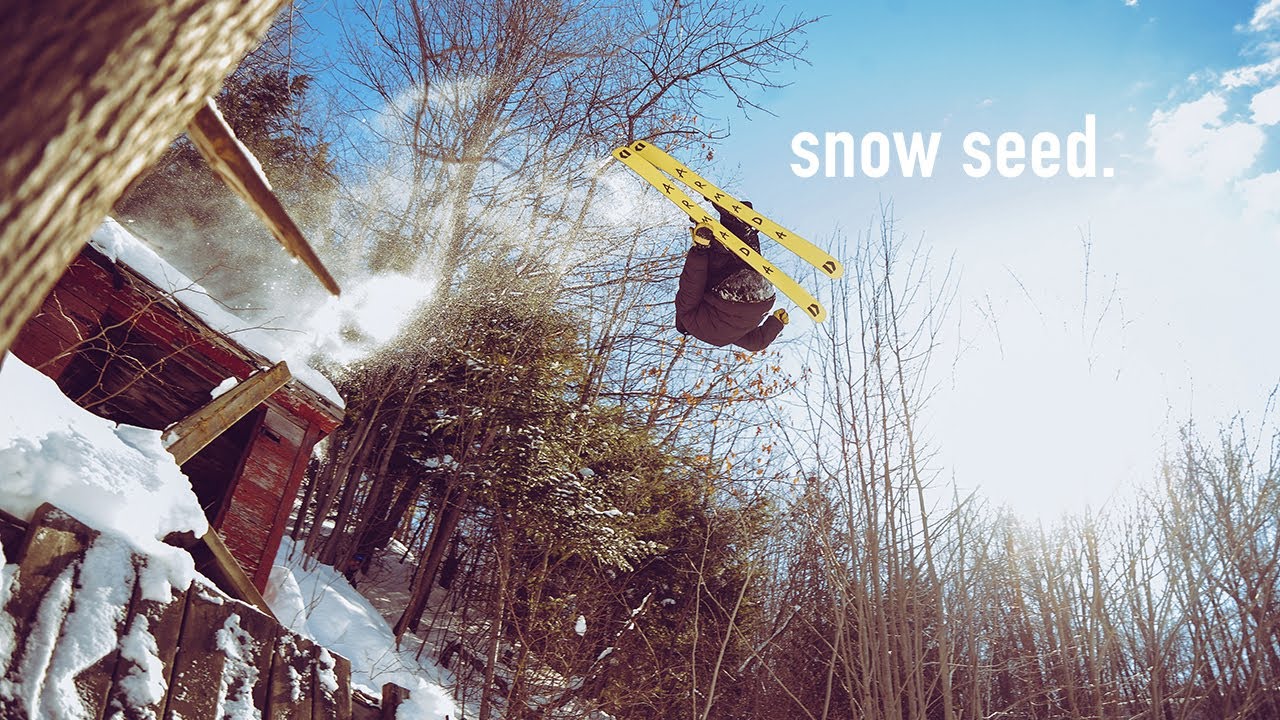 snow seed | Phil Casabon