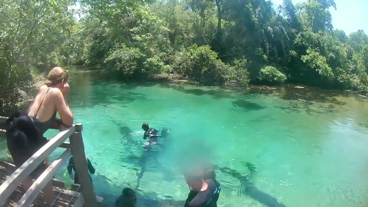 #09 Flutuação Rio da Prata   Bonito MS